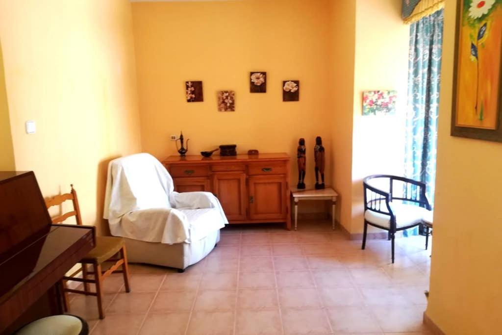 Bonito Apartamento Centro Onil Екстериор снимка
